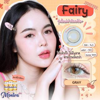 คอนแทคเลนส์🌈Fairy🌈 Brown / Gray (Montra) ขนาดบิ๊กอาย💖