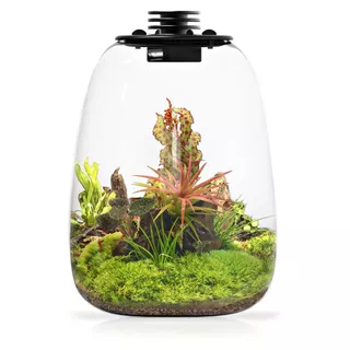 JADEPLANT Bio Bottle LED EC series กระจกใสพิเศษ ตู้ไม้ชื้น เทอราเรี่ยม โหลเลี้ยงต้นไม้ terrarium จัดสวนขวด bioloark ต้น