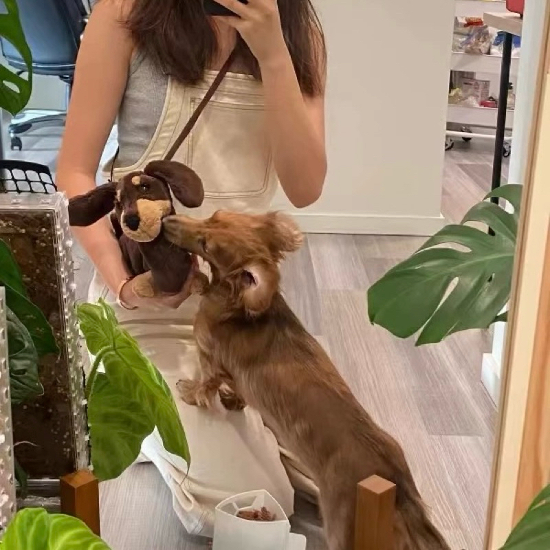 พร้อมส่ง🐶กระเป๋า หมาไส้กรอก Dachshund หมาดัชชุน ตุ๊กตาหมา กระเป๋าน่ารัก bag ของขวัญ ของแต่งบ้าน พร็อบถ่ายรูป 04048 - รูปที่ 2