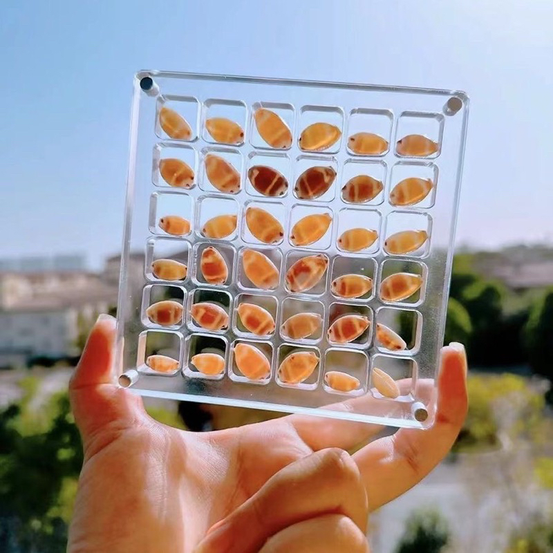 กล่องเก็บของมินิกริด MINI grid storage BOX Transparent plastic(Acrylic)empty box