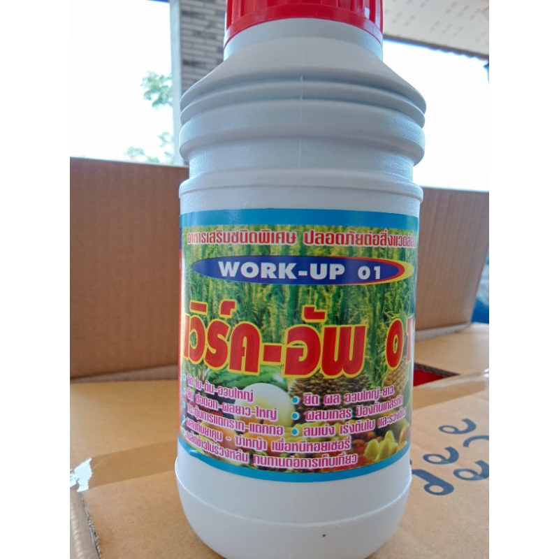WORK UP อาหารเสริมชนิดพิเศษ ใช้เป็นน้ำยาเร่งรากก็ได้