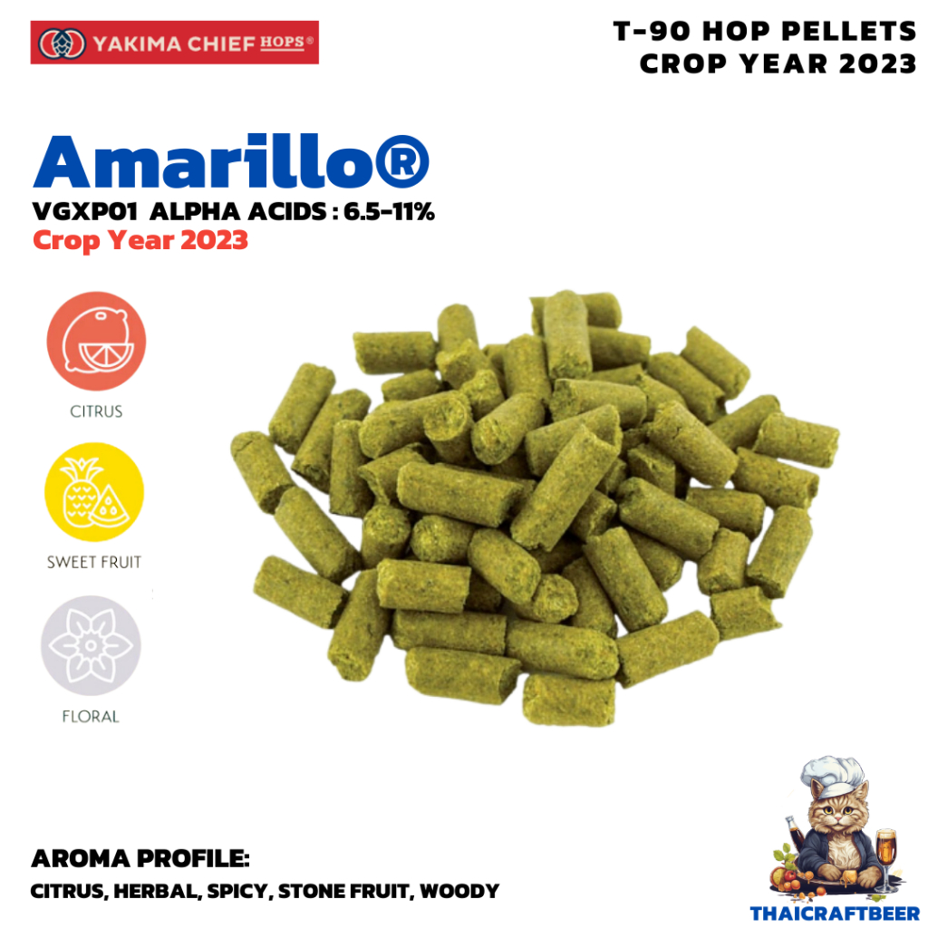 ฮอปทำเบียร์ ฮอป T90  Amarillo Hop Crop 2023 [Yakima Chief Hops]