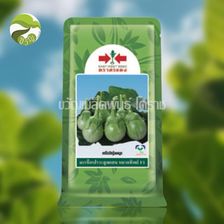 หยาดทิพย์ มะเขือเปราะ ลูกผสม ตรา ศรแดง 20 กรัม