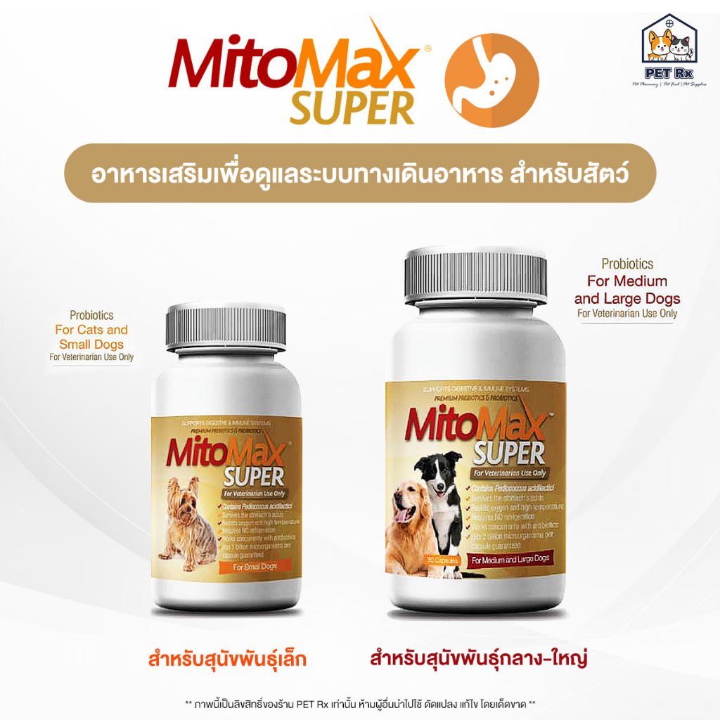 MitoMax SUPER [แท้ ] อาหารเสริมเพื่อดูแลระบบทางเดินอาหารสำหรับสัตว์เลี้ยง (30 แคปซูล)
