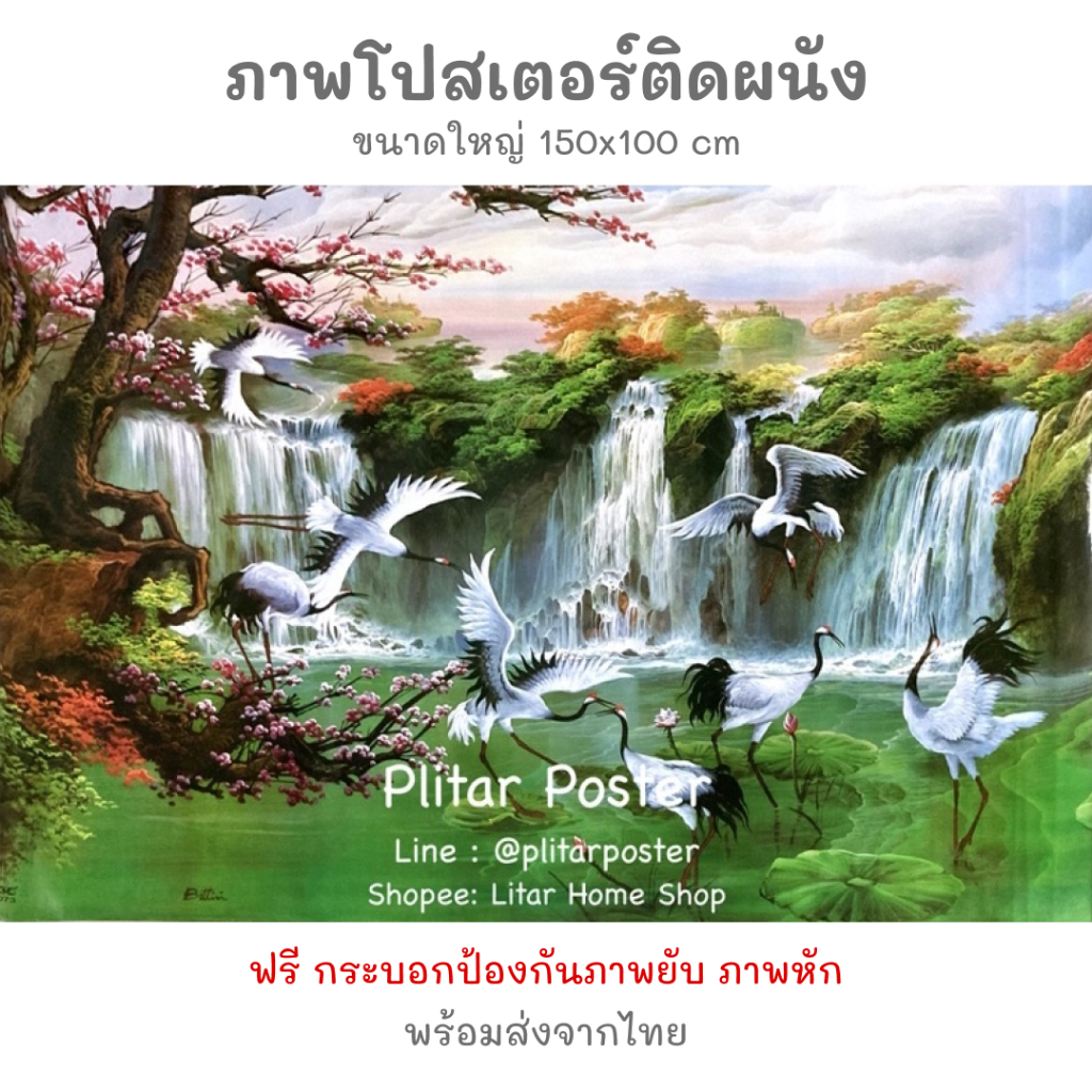 โปสเตอร์ภาพมงคล ม้า เสือ เรือ ปลาคราฟ (100x150cm) นกยูง ภูเขา น้ำตก ตกแต่งบ้าน ภาพมงคล ติดผนัง