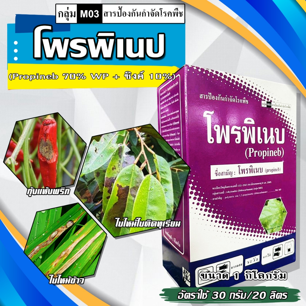 โพรพิเนบ แอนทราโคล สารป้องกันและกำจัดโรคพืช ราน้ำค้าง ราสนิม ใบขีด ใบจุด ใบไหม้ ( 1 กิโลกรัม )
