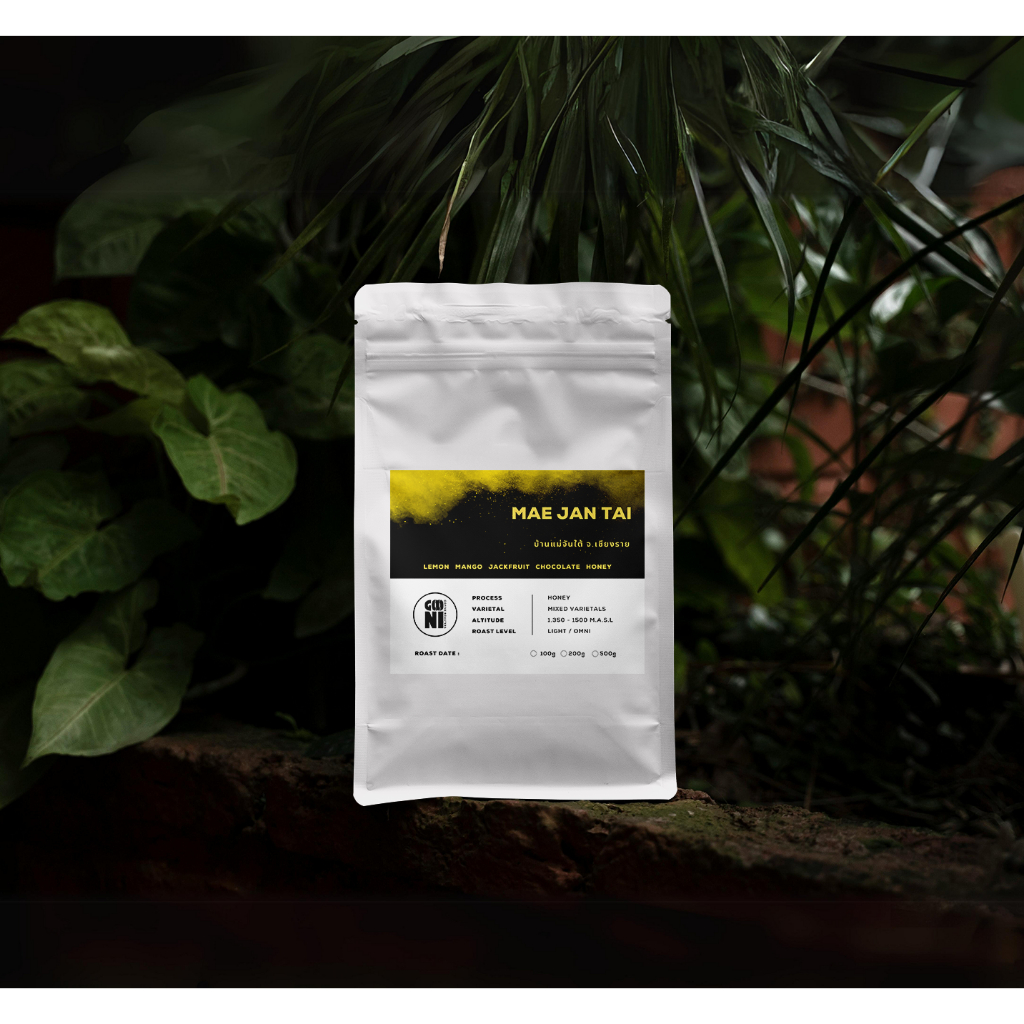 เมล็ดกาแฟคั่วอ่อน แม่จันใต้ เชียงราย / Mae Jan Tai, Chiang Rai - Light Roast / GOONI Coffee Roasters