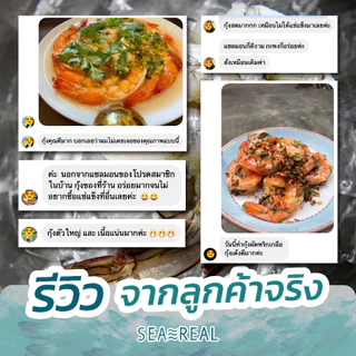 Seareal กุ้งขาวสดแช่แข็งแกะเปลือกผ่าหลังถอดหาง น้ำหนักกุ้ง 100% Frozen Raw Shrimp (PD) N.W. 100%
