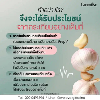 กระเทียม กระเทียมเม็ด กระเทียมสกัดเย็น garlic กระเทียมกิฟฟารีน การ์ลิซีน กิฟฟารีน กระเทียมแคปซูล