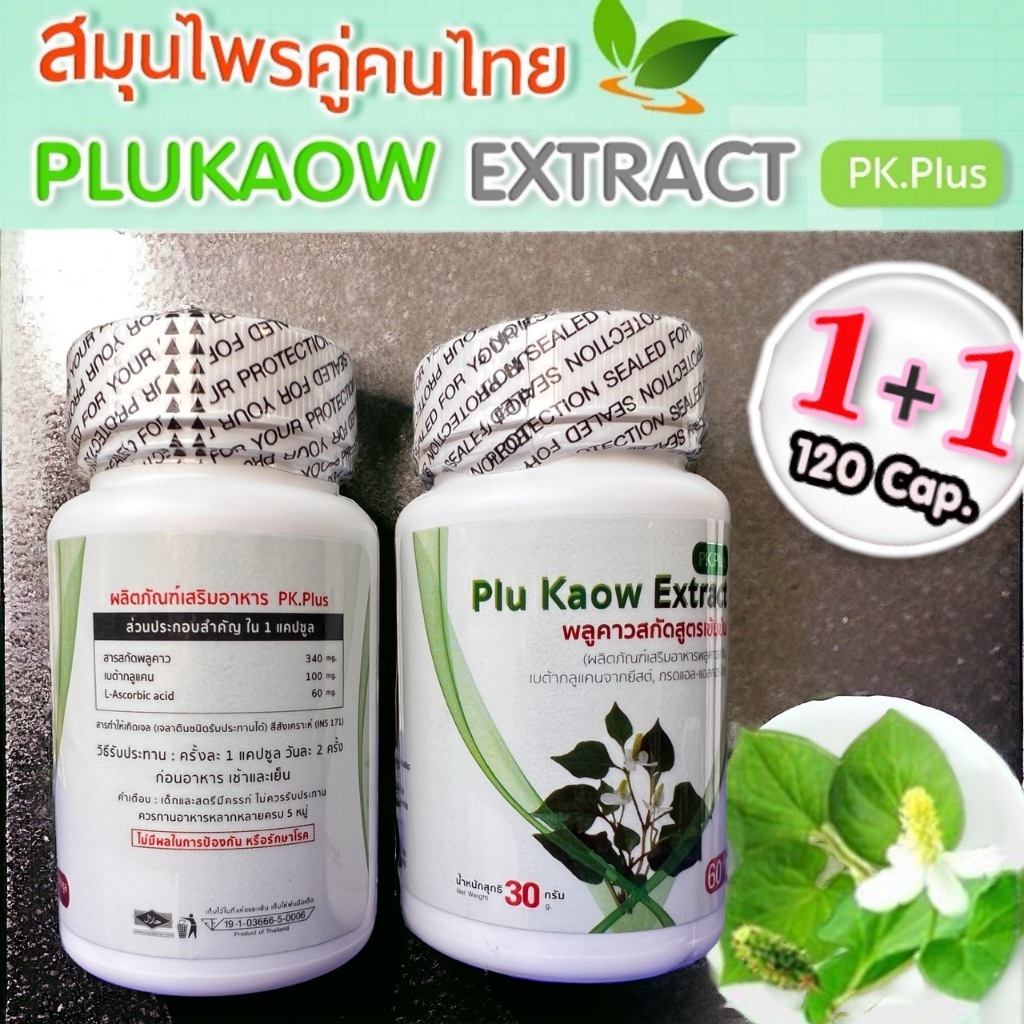 ซื้อ1ฟรี1 ราคา196 PK Plus Plu Kaow Extract (60แคปซูล) พลูคาวสกัด