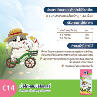 [ยกโหล มีโทเคน] VIF Felina Canino วิฟ อาหารเปียก ไม่เค็ม ไม่เติมเกลือ มีทอรีน เยลลี่ เจลลี่ Jelly เกรวี่ 12 ซอง คละได้