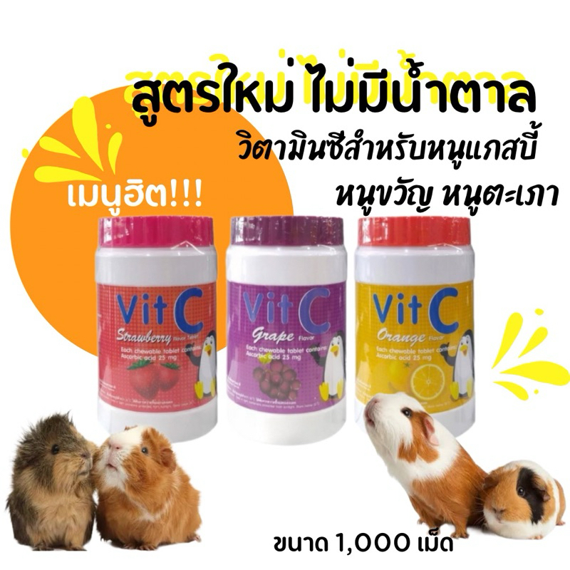 วิตามินซีสำหรับหนูแกสบี้สูตรไม่มีน้ำตาล