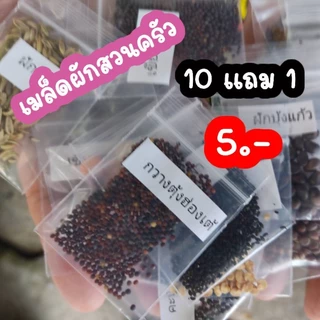 เมล็ดผักบุ้งจีน เมล็ดผักสวนครัว เมล็ดผัก5บาท