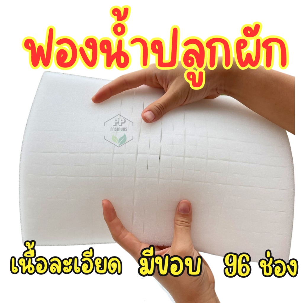 ฟองน้ำปลูกผักไฮโดรโปนิกส์ ฟองน้ำเพาะต้นกล้า ฟองน้ำแบบละเอียด มีขอบ