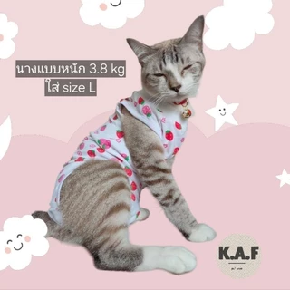 (HP01)เสื้อทำหมันสัตว์เลี้ยง (พร้อมส่งจากไทย!!)เสื้อแต่ละลายขนาดไม่เท่ากัน อ่านsizeก่อนสั่ง!