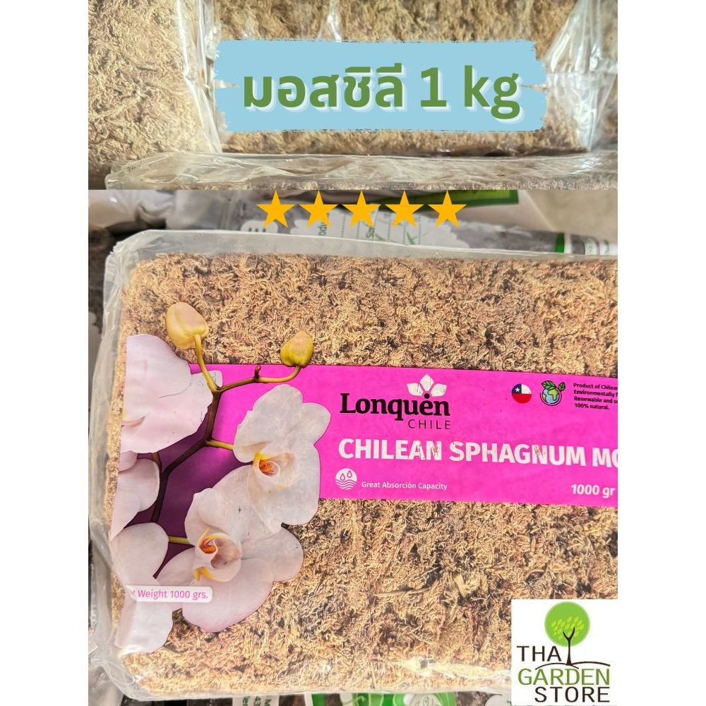 สแฟกนั่มมอส มอสชิลี ปลูกต้นไม้ 1 kg. (Chilean Sphagnum Moss)