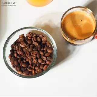 เมล็ดกาแฟคั่วกลาง อาราบิก้าดอยช้าง 100% เกรด A