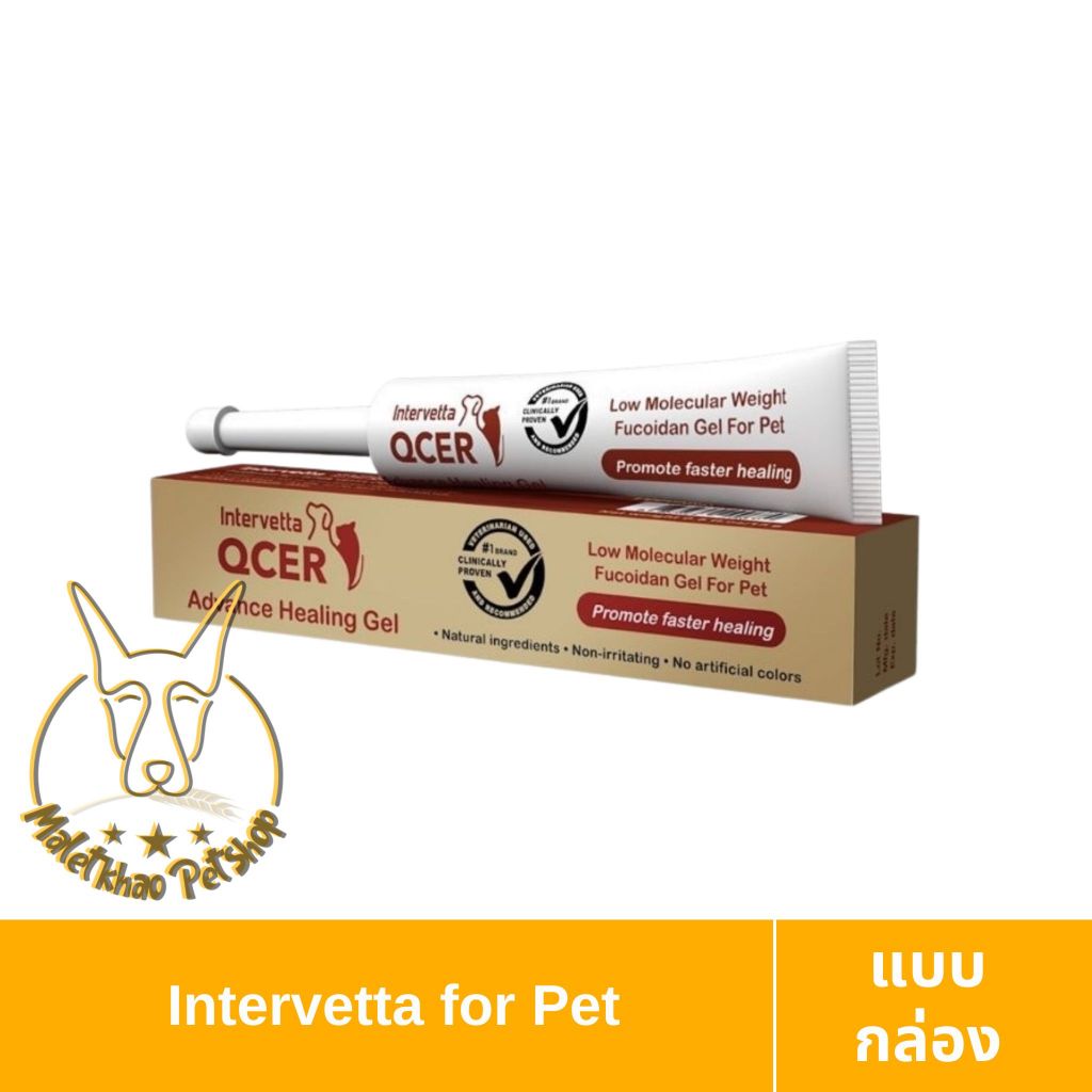 [MALETKHAO] Intervetta (อินเตอร์เว็ทต้า) Qcer Gel แบบหลอด เจลใส่แผล ช่วยกระตุ้นการหายของแผล สำหรับสั