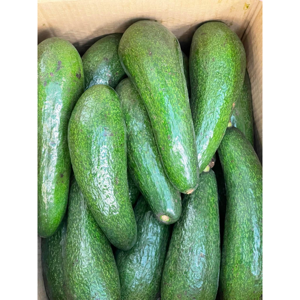 อโวคาโดนำเข้าA034 เกรดพรีเมี่ยม 5KG สุดยอดอะโวคาโด้ อร่อยมากคัดคุณภาพอย่างดี แก่จัดมัน เหนียว อร่อย