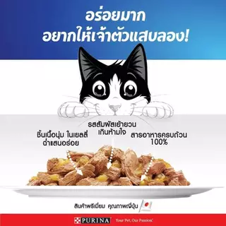 [โหล 12 ซ. / ลัง 24 ซ.] Felix เฟลิกซ์ อาหารแมวเปียก 70-85 กรัม - Felix Pouch 70 g. - 85 g.