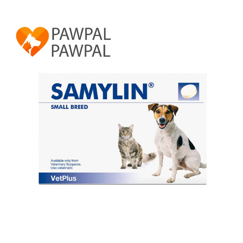 Samylin Small breed 🔥Exp.1/7/2026 ของแท้ฉลากไทย อาหารเสริม บำรุงตับ สุนัข ขนาดเล็ก แมว