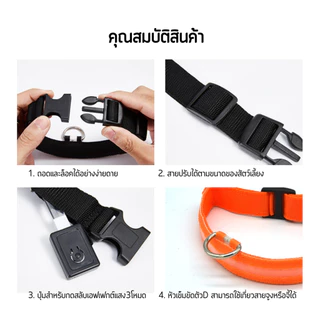 ปลอกคอสุนัข ปลอกคอไฟLED ผ้าไนล่อนกันน้ำกันฝนแถมถ่านฟรี C045