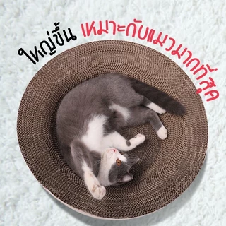 ที่ลับเล็บแมว+แคทนิป อ่างลับเล็บ ของเล่นแมว ที่นอนแมว 2 in 1 แผ่นลับเล็บ ที่ฝนเล็บสัตว์เลี้ยง