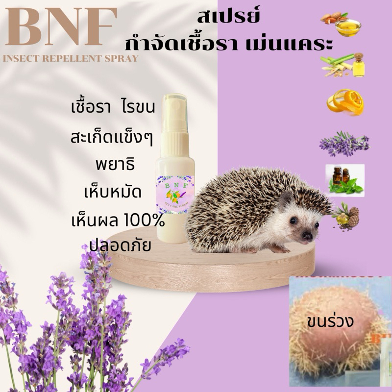 เซรั่ม บำรุงขน พร้อมส่ง
