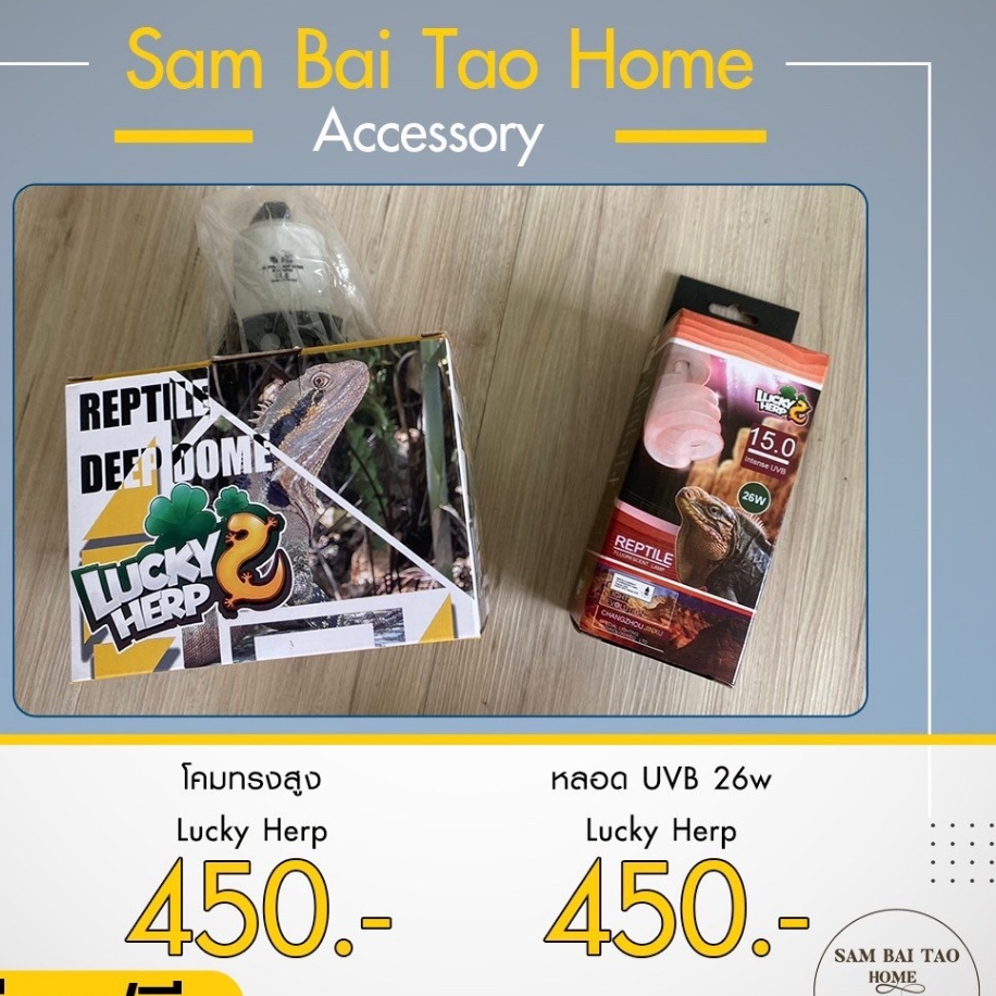 หลอดไฟ UVB 15.0 26W สำหรับสัตว์เลื้อยคลาน ใช้คู่กับโคมสูง 5.5