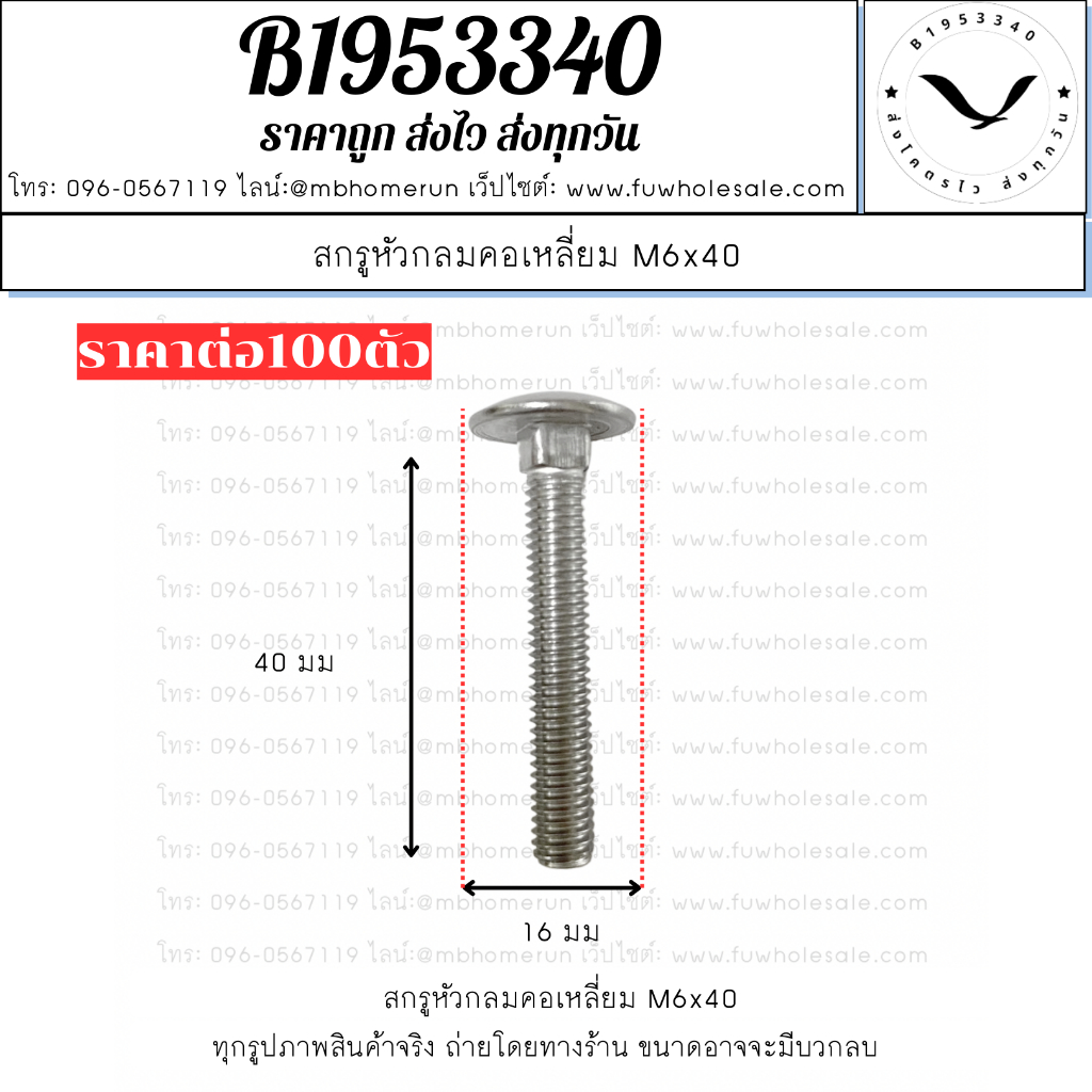 สกรูหัวกลมคอเหลี่ยม M6x40 เกรด 304 เกลียวมิล สกรู น็อต (1แพ็ค100ชิ้น) แข็งแรง ทนทาน จัดส่งไว!!!