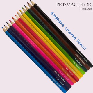 ดินสอสีไม้ Elephant (แยกแท่ง) | สีสด นุ่มลื่น เหลาง่าย ไส้แข…