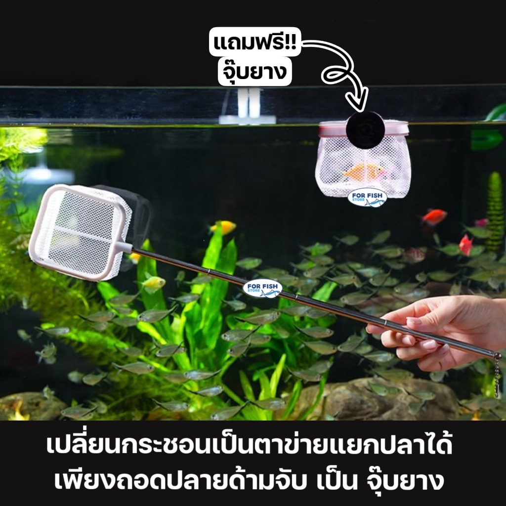 กระชอนตักปลา ยืดพับได้ 24~57 ซม.   กระชอนตักปลา 2in1  เปลี่ยนเป็นตาข่ายแยกปลาได้ - รูปที่ 2