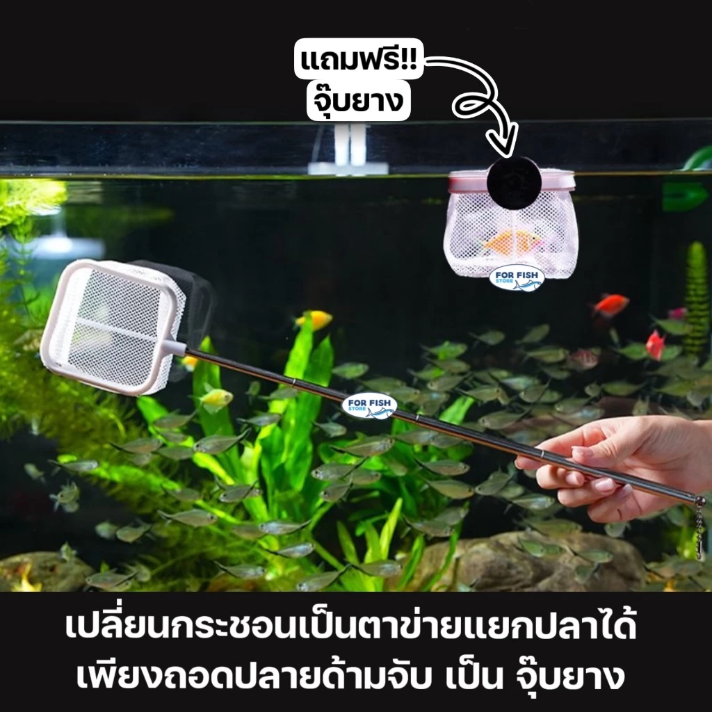 กระชอนตักปลา ยืดพับได้ 24-57 ซม. 2in1 แยกปลาได้ thumbnail 4