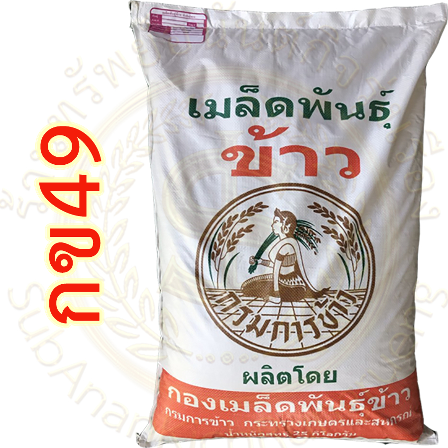 เมล็ดพันธุ์ข้าว กข49  กรมการข้าว