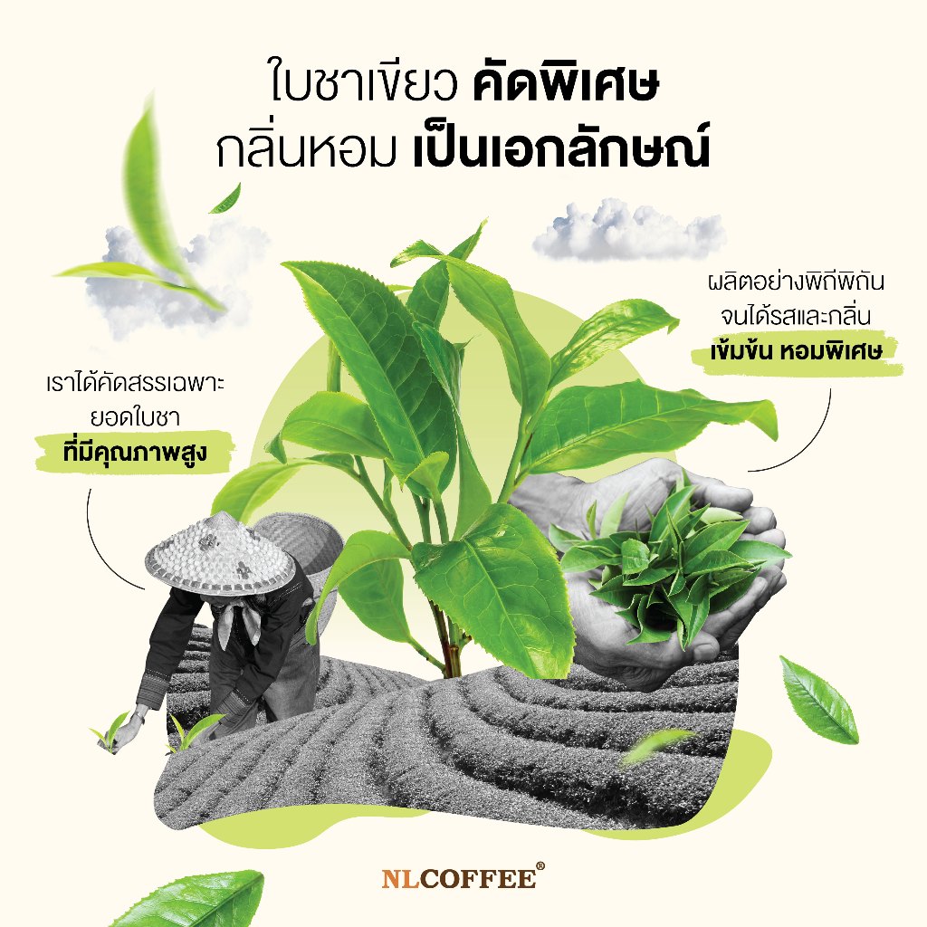 (2แพ็ค)ชาเขียวมิกซ์ Green Tea Mix by NLCOFFEE (500กรัม 2แพ็ค) ราคา ถูกที่สุด ดีลบีเคเค แกลเลอรีภาพที่ 4