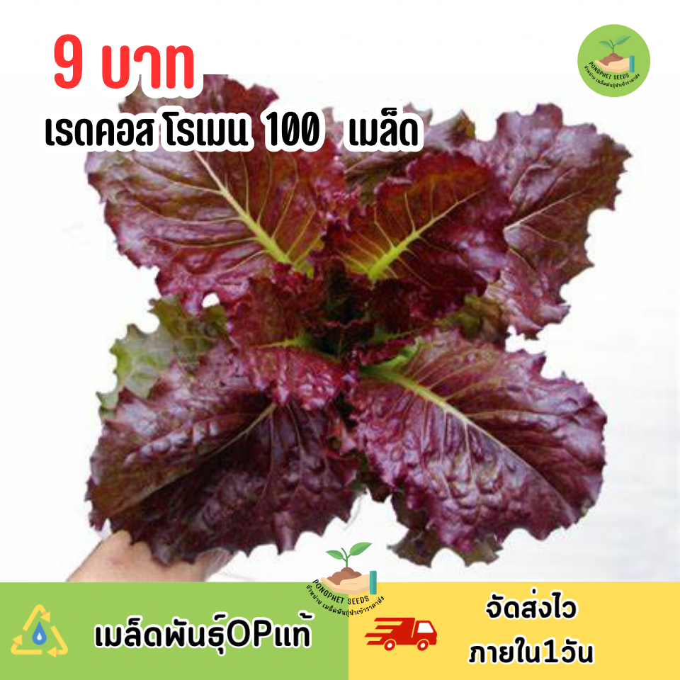 9บาท เรดคอส 100 เมล็ด