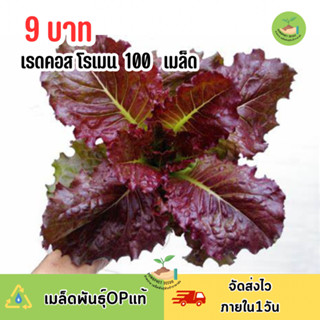 9บาท เรดคอส 100 เมล็ด