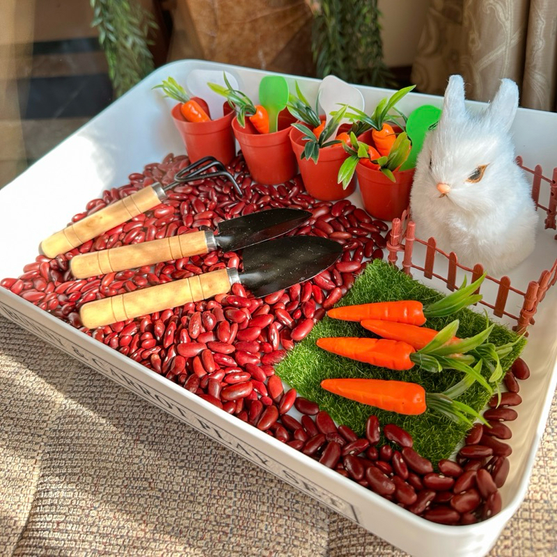 Bunny & Carrot Play Set ชุดปลูกแครอทในสวน ฝึกนับเลข รูปที่ 3