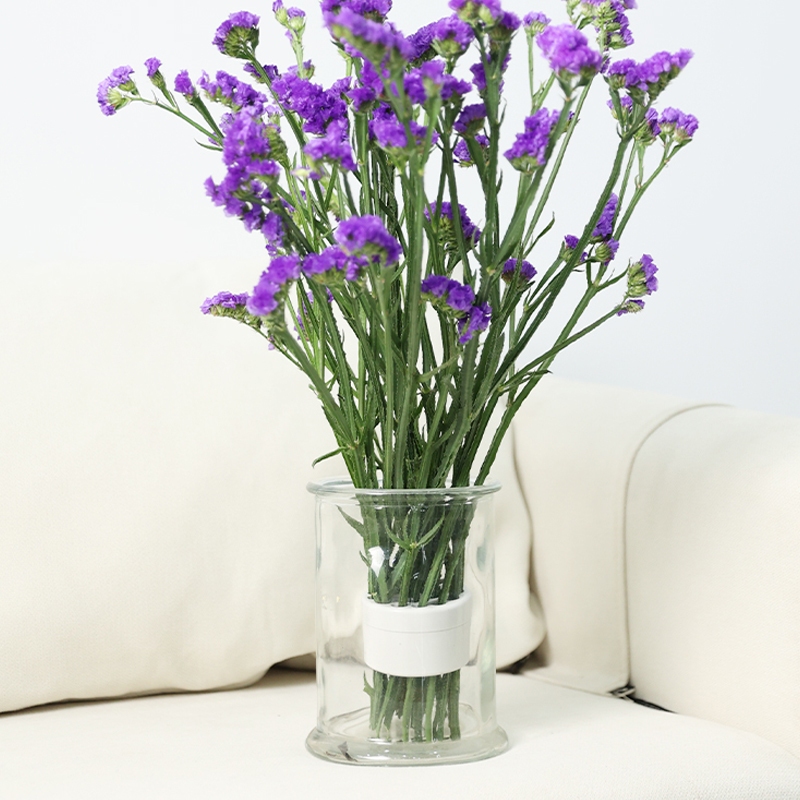 ช่อดอกไม้ จัดดอกไม้ เครื่องมือ DIY เกลียว Ikebana ก้านแหวน ที่ใส่สําหรับตกแต่งแจกัน