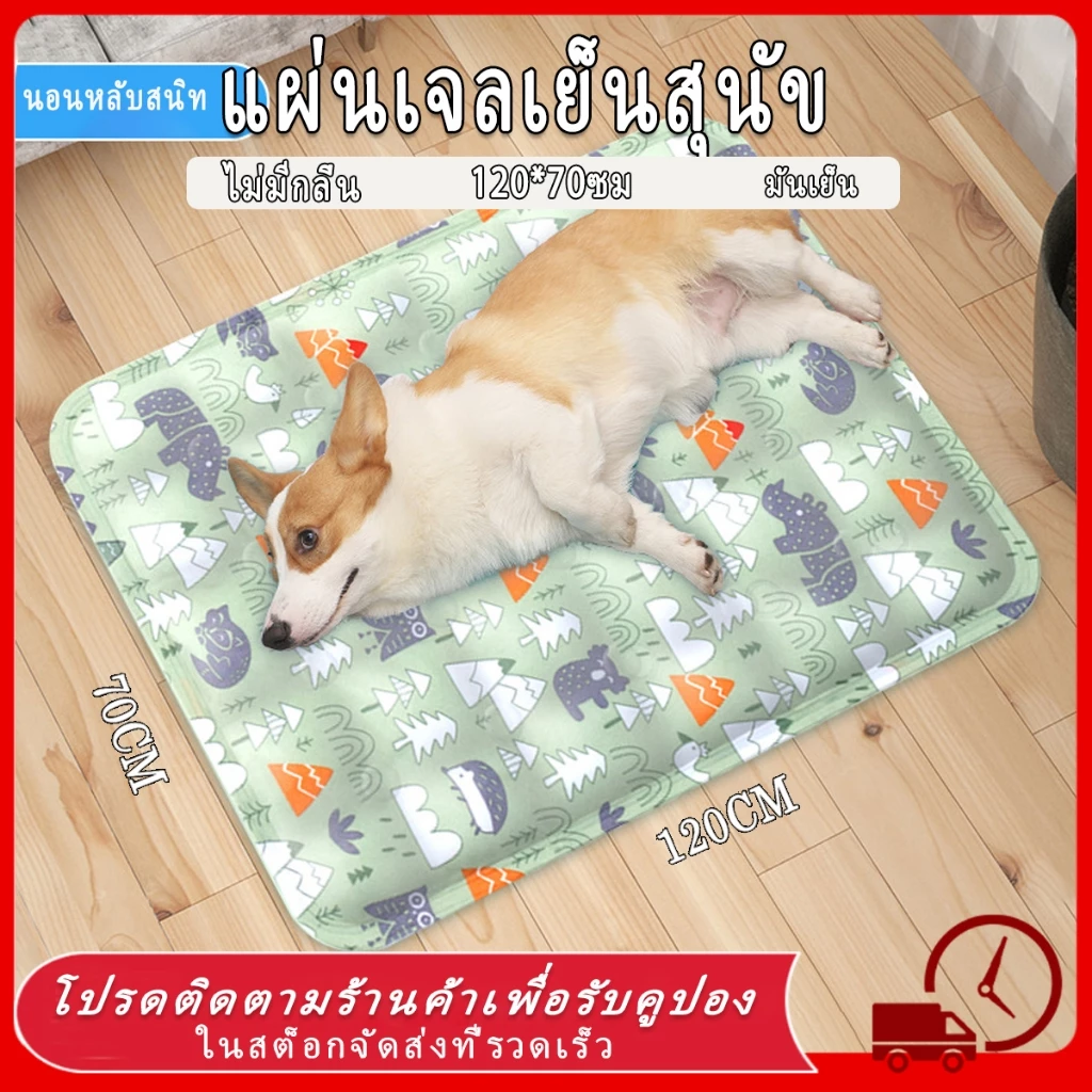 ❄️❄️แผ่นเจลเย็นแมว แผ่นเจลเย็นสุนัข เบาะนอนเย็น ที่นอนแมวเย็น ที่นอนเจลเย็น ที่นอนเจลเย็น แผ่นเจลเย็น เบาะนอนเย็น