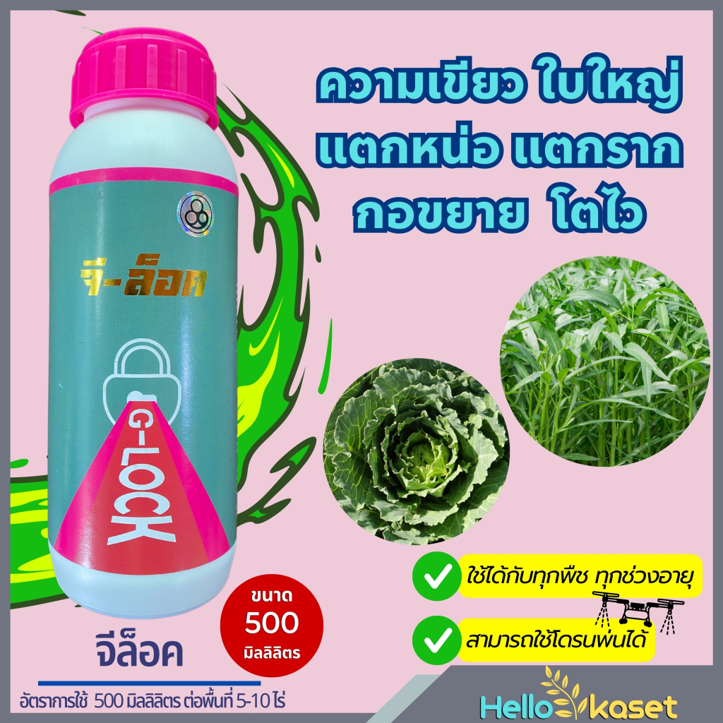 ฮอร์โมน เร่งต้นโต เร่งใบเขียว เร่งแตกยอด จีล็อค ขนาด 1 ลิตร ชุด 4 ขวด เจริญเติบโต ช่วยการสร้างอาหาร