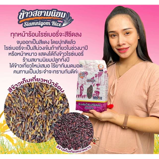 ข้าวกล้องไรซ์เบอรี่ ข้าวสีซีด คัดพิเศษ 5 กก.กระสอบ ปลอดสาร