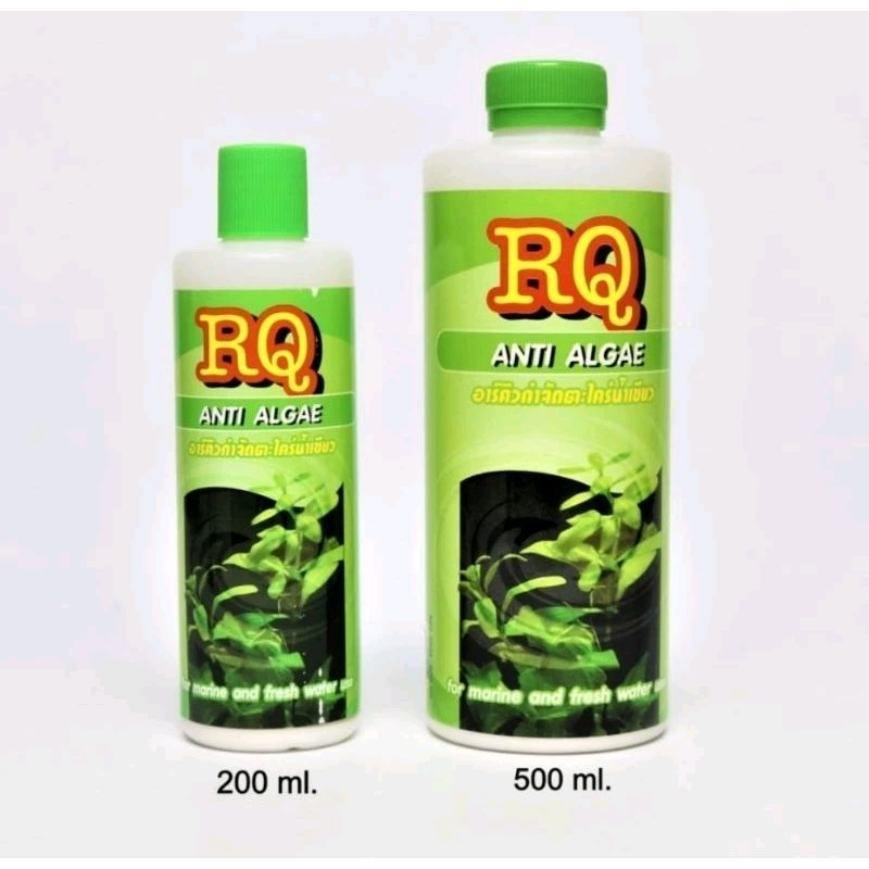 RQ ANTI ALGAE อาร์คิว กำจัดตะไคร่น้ำเขียว/ 200-500 ml.