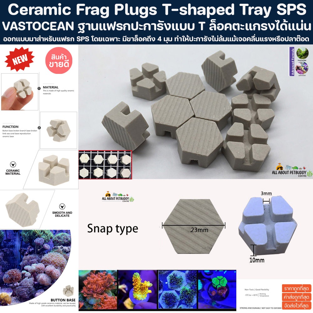 VASTOCEAN Ceramic Coral Frag Plugs T-shaped Tray SPS ฐานแฟรกปะการัง เซรามิค พร้อมใช้ผ่านการบำบัดอย่างดี แฟรก ปะการัง ปลา