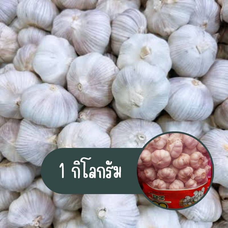 กระเทียมจีนหัวใหญ่ เนื้อแน่น คัดเกรดAAA 1กิโลกรัม