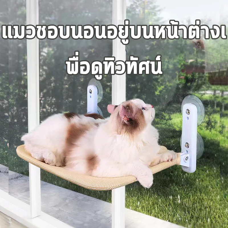 เปลแมวติดหน้าต่าง แบบแขวน 52cm รับน้ำหนัก 30kg thumbnail 3