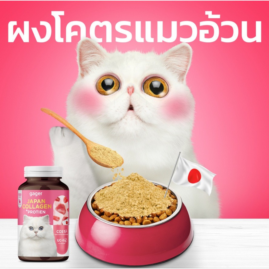 Gager Collagen กาเจอร์  ผงคอลลาเจนแมว ผงโปรตีน เสริมเสริมสร้างกล้ามเนื้อ ตัวแน่น บำรุงขนแน่นฟู ขนาด3