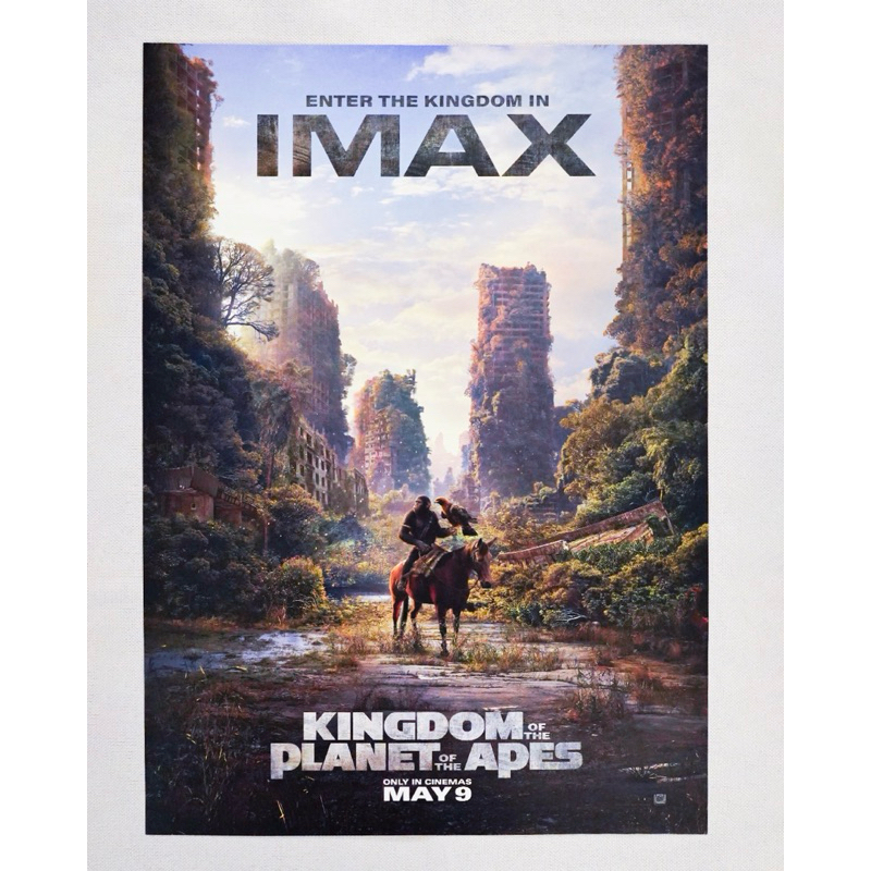 โปสเตอร์ของแท้ “KINGDOM OF THE PLANET OF THE APES” IMAX Week 1 จาก Major Cineplex - Poster “THE PLANET OF THE APES”