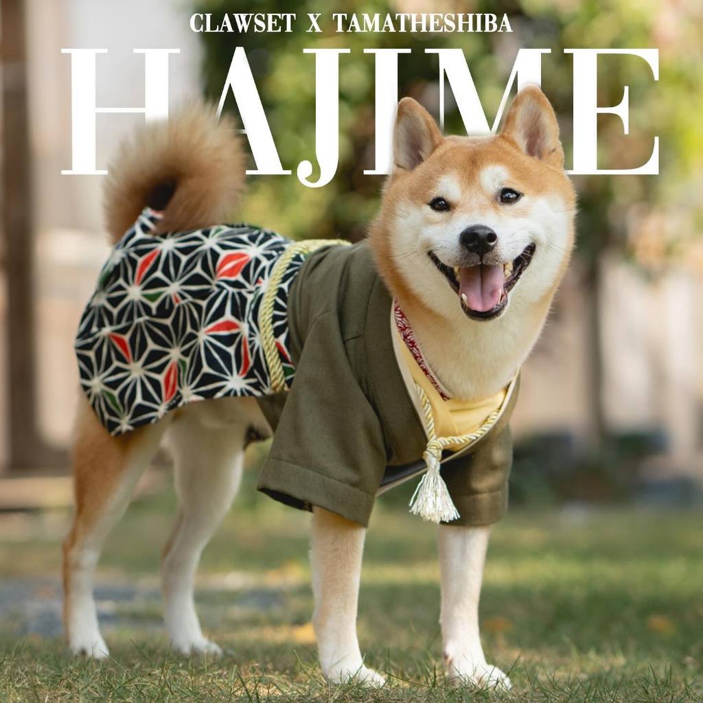 ชุดยูกาตะ Inusama Collection คอลเลคชั่นญี่ปุ่น ชุดสัตว์เลี้ยง เฉพาะเสื้อด้านนอก | CLAWSET.BKK