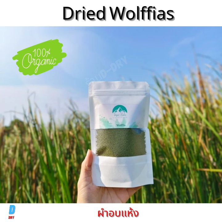 ผำอบแห้ง โปรตีนพืช dried Wolffia 100%  (plant protein) ไข่น้ำแบบแห้ง 40G